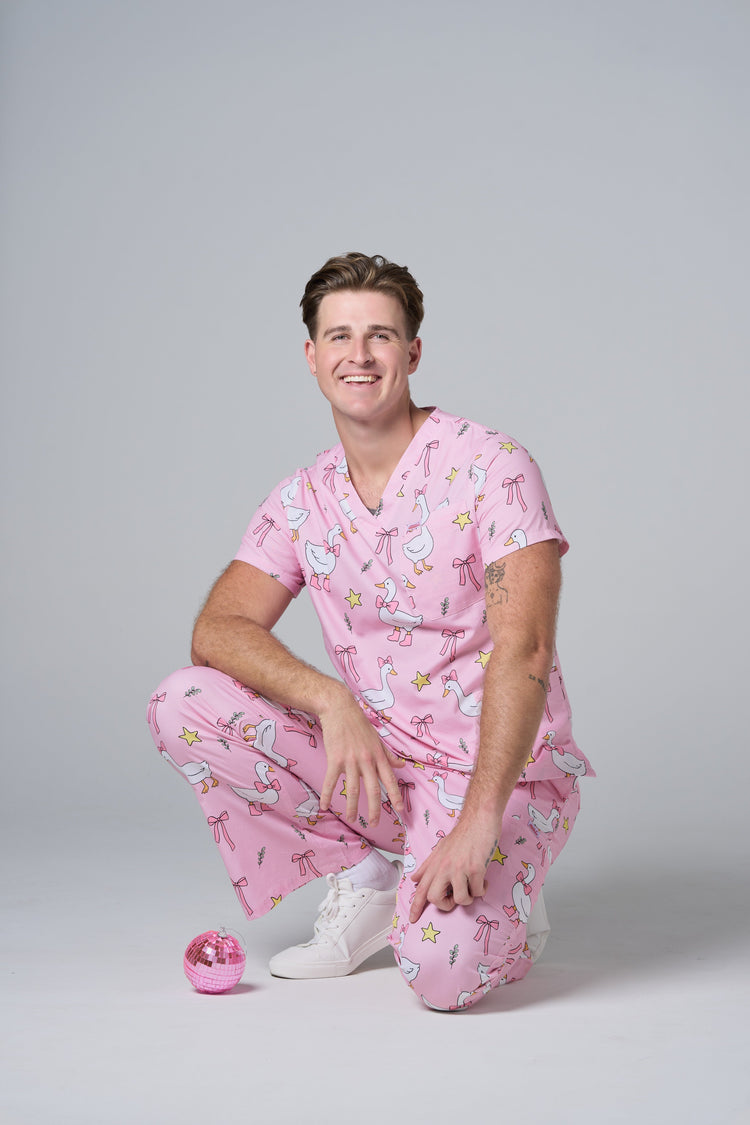 The Silly Goose Series
