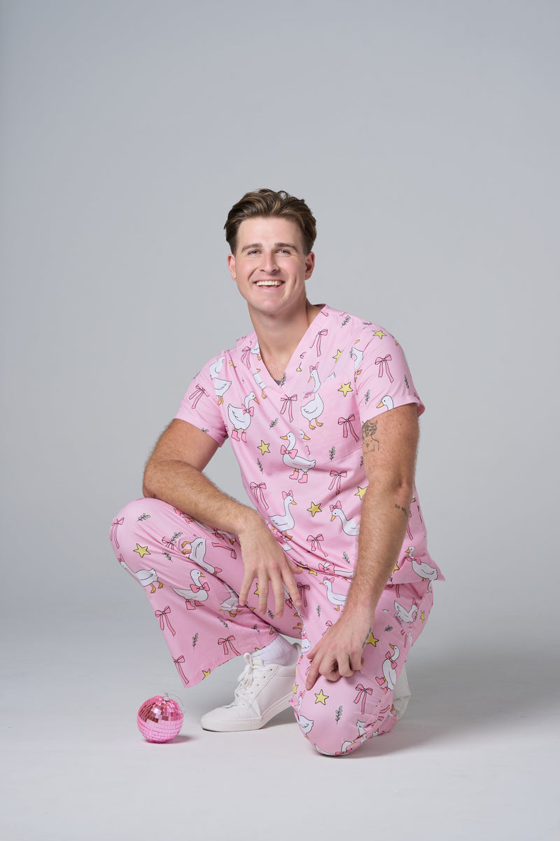 The Silly Goose Series
